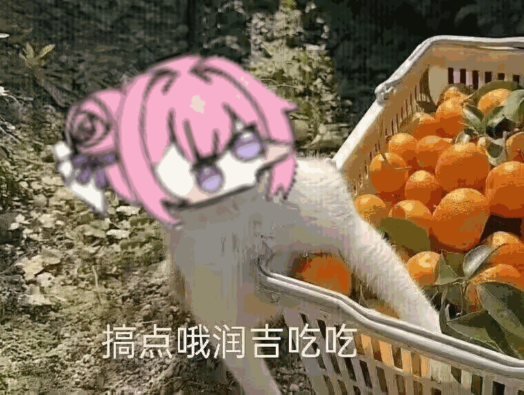 周年-黄粱一梦（破防）