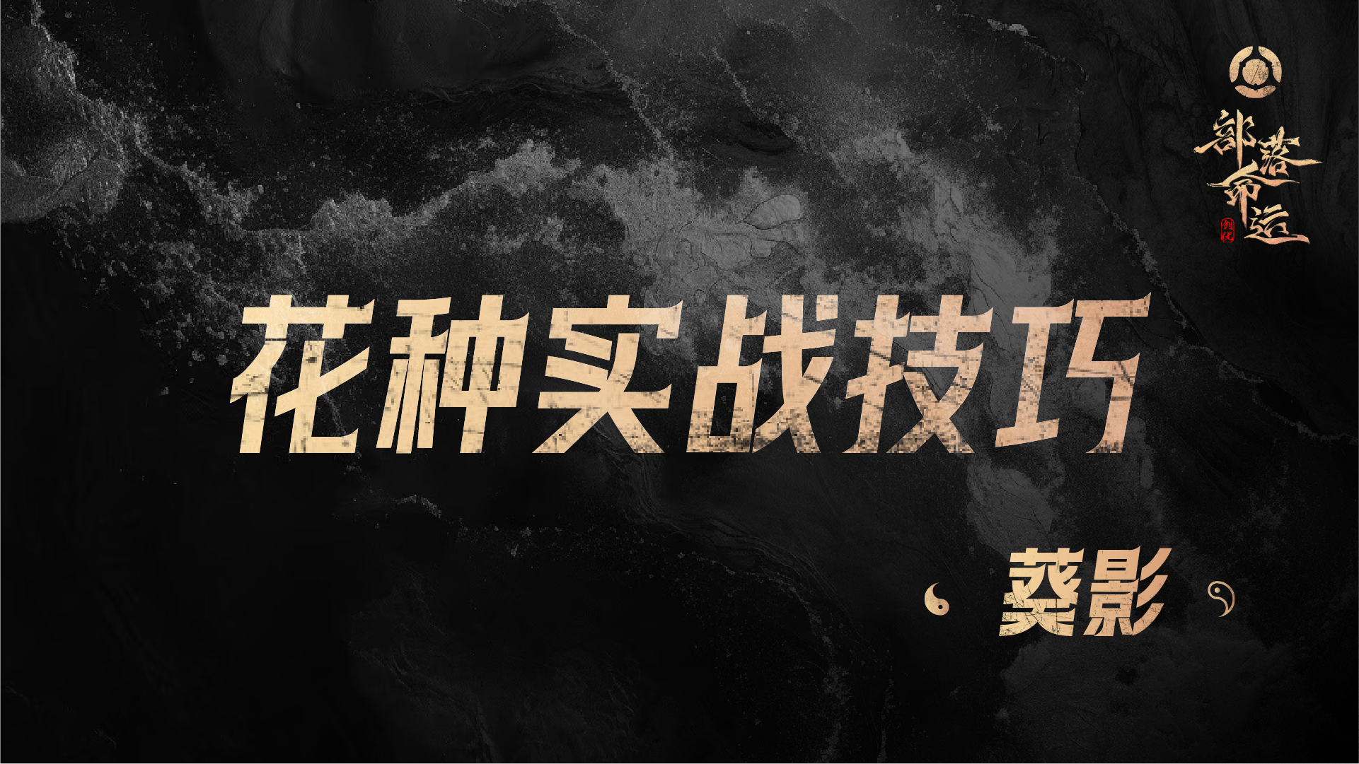 花种实战技巧——葵影