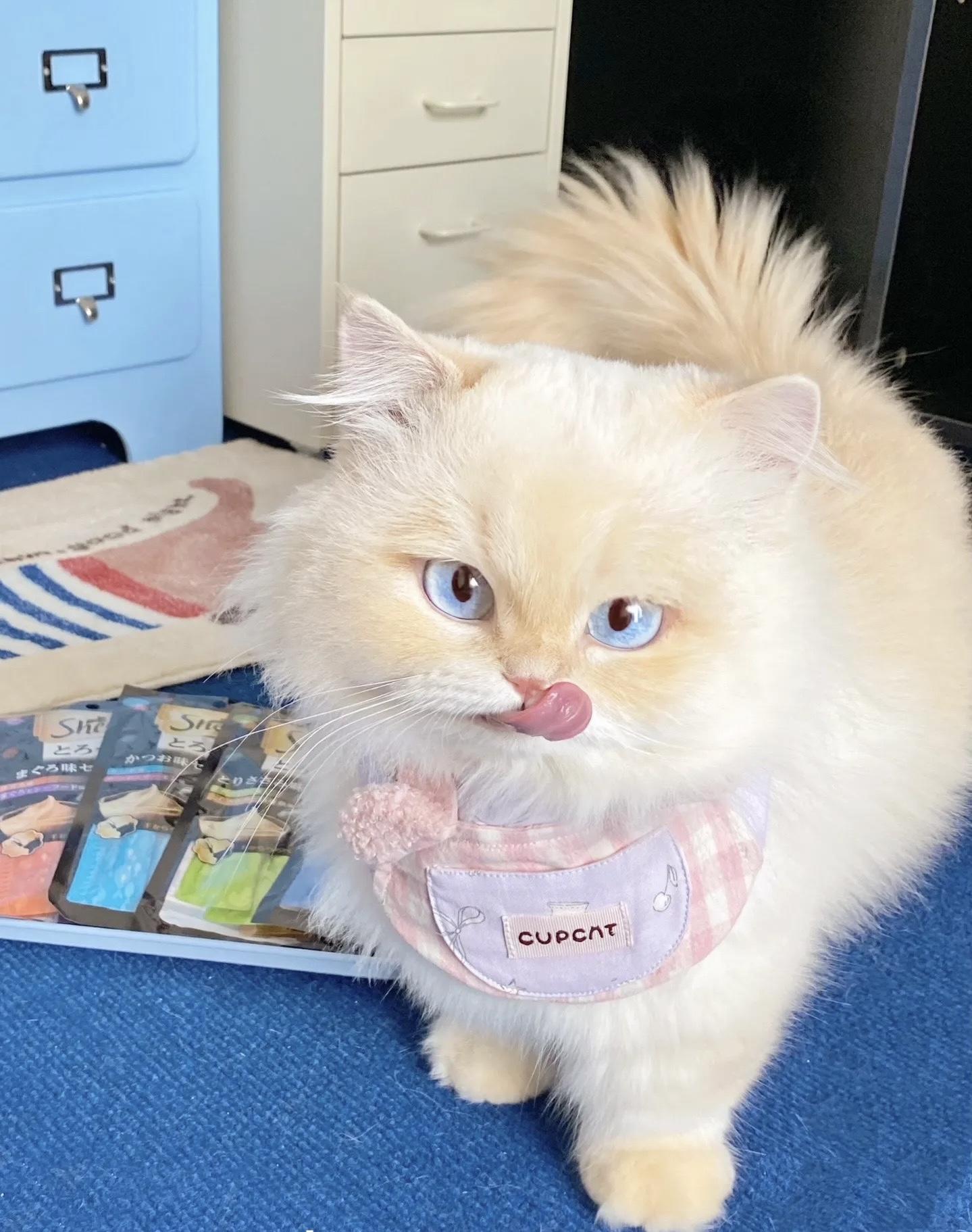 射手“亚奇”新角色首次登场！截图