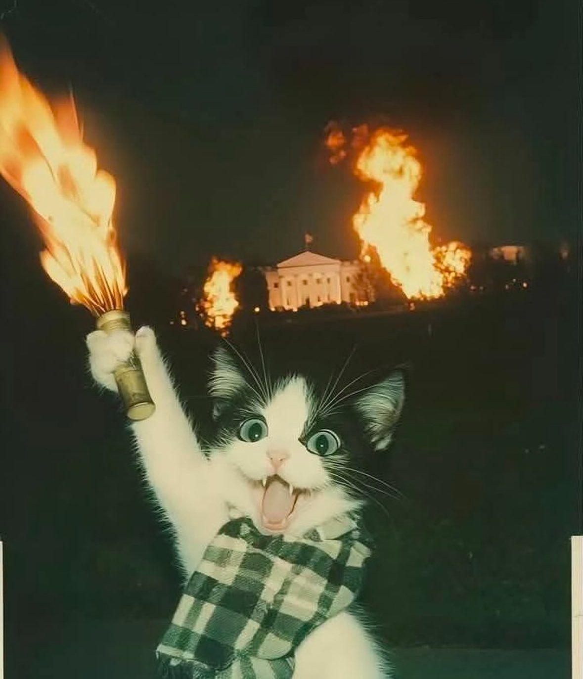 个人觉得最应该添加的小功能