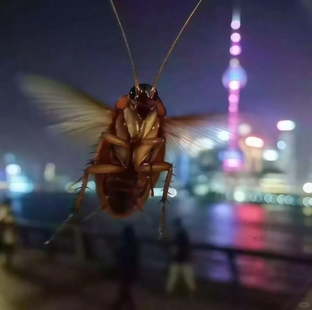 早上起来头疼，但我想起昨晚做的梦