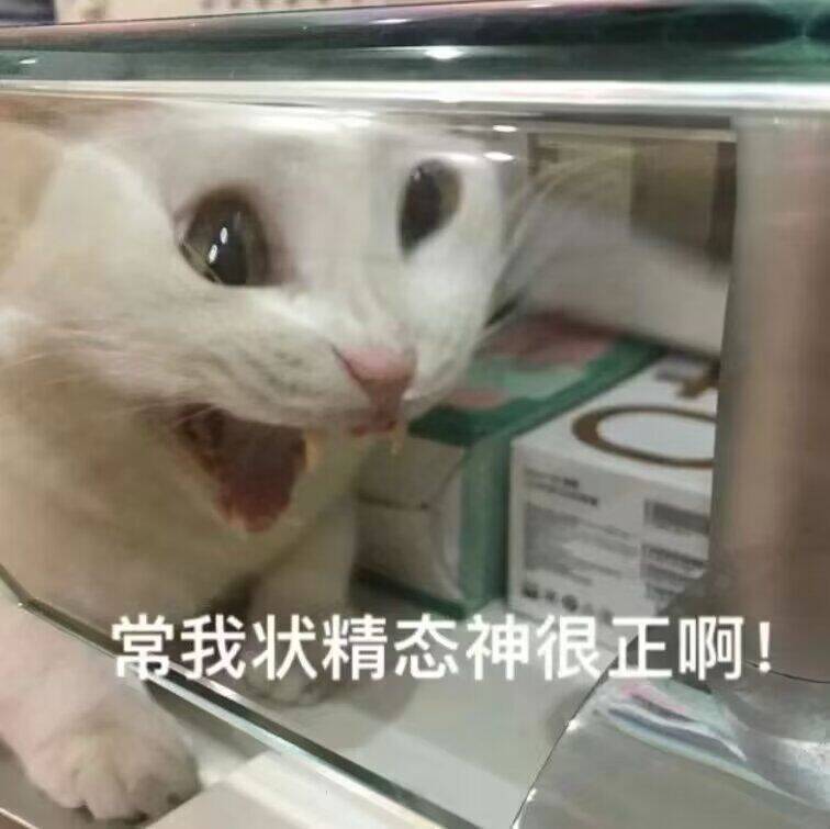 【建议】锁词条道具只用在双完美词条武器上截图