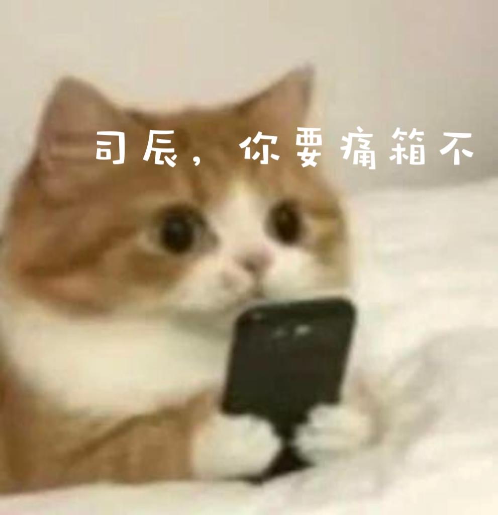 司辰的痛箱！空前优惠！好吃小贵！截图