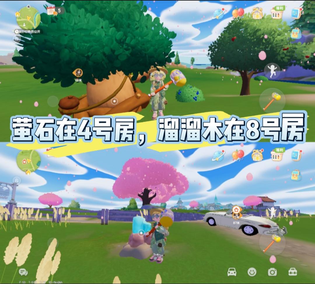 5.1萤石溜溜木位置