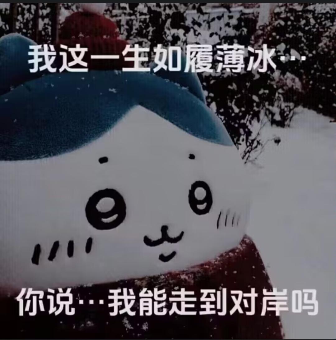 道心破碎第七天（燃尽了）