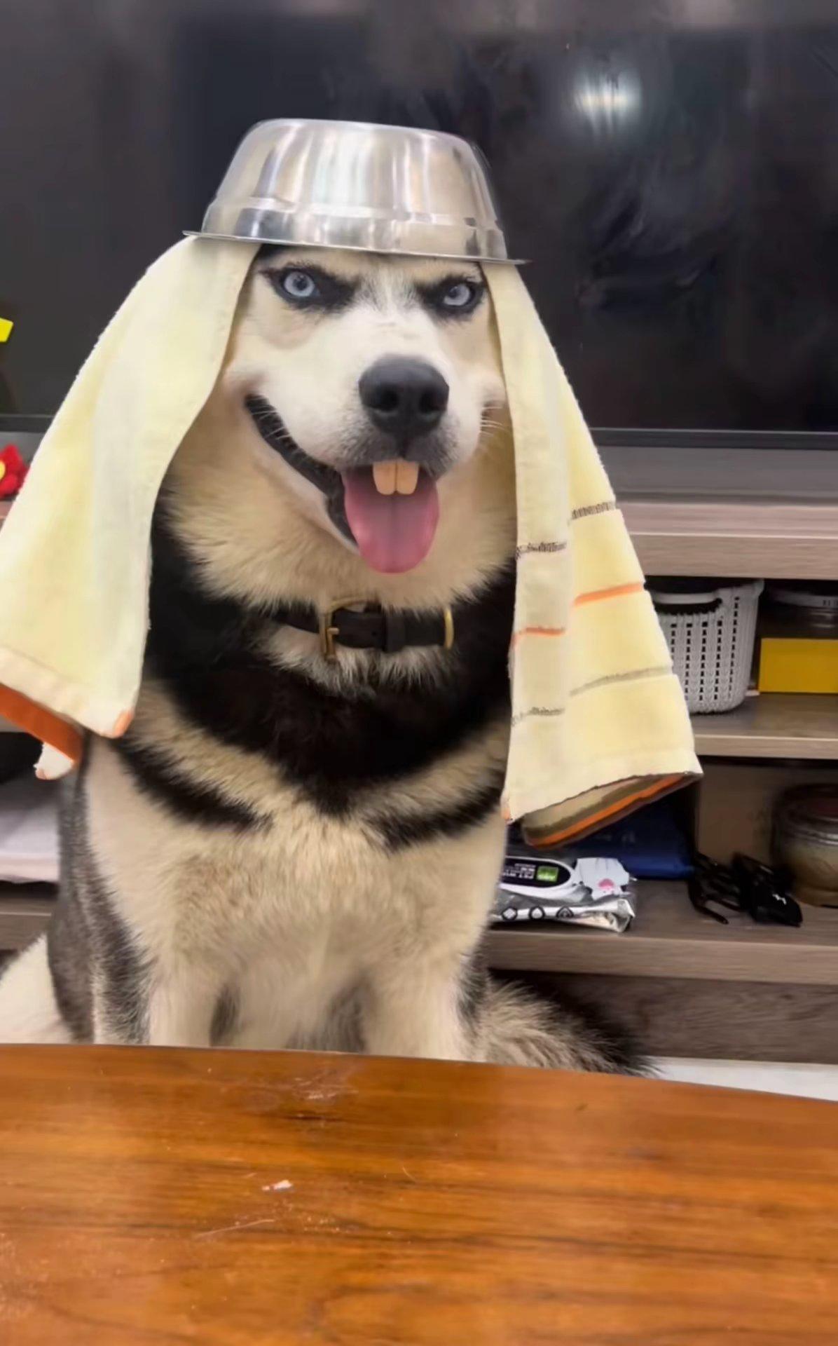 ‘怪盗钴’召唤师皮肤登场！