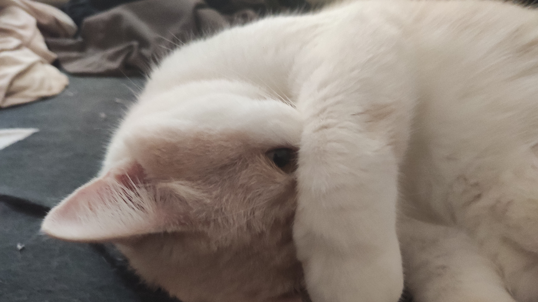 关于神盾，大家都错怪官方了！