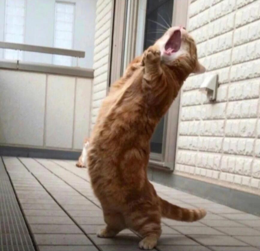 ‘后巷牙’狼人皮肤登场！