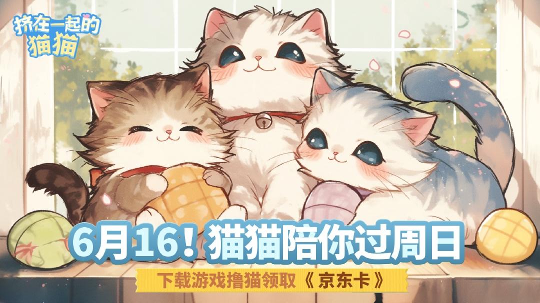 🐾6月16日！猫猫来陪你过周末！