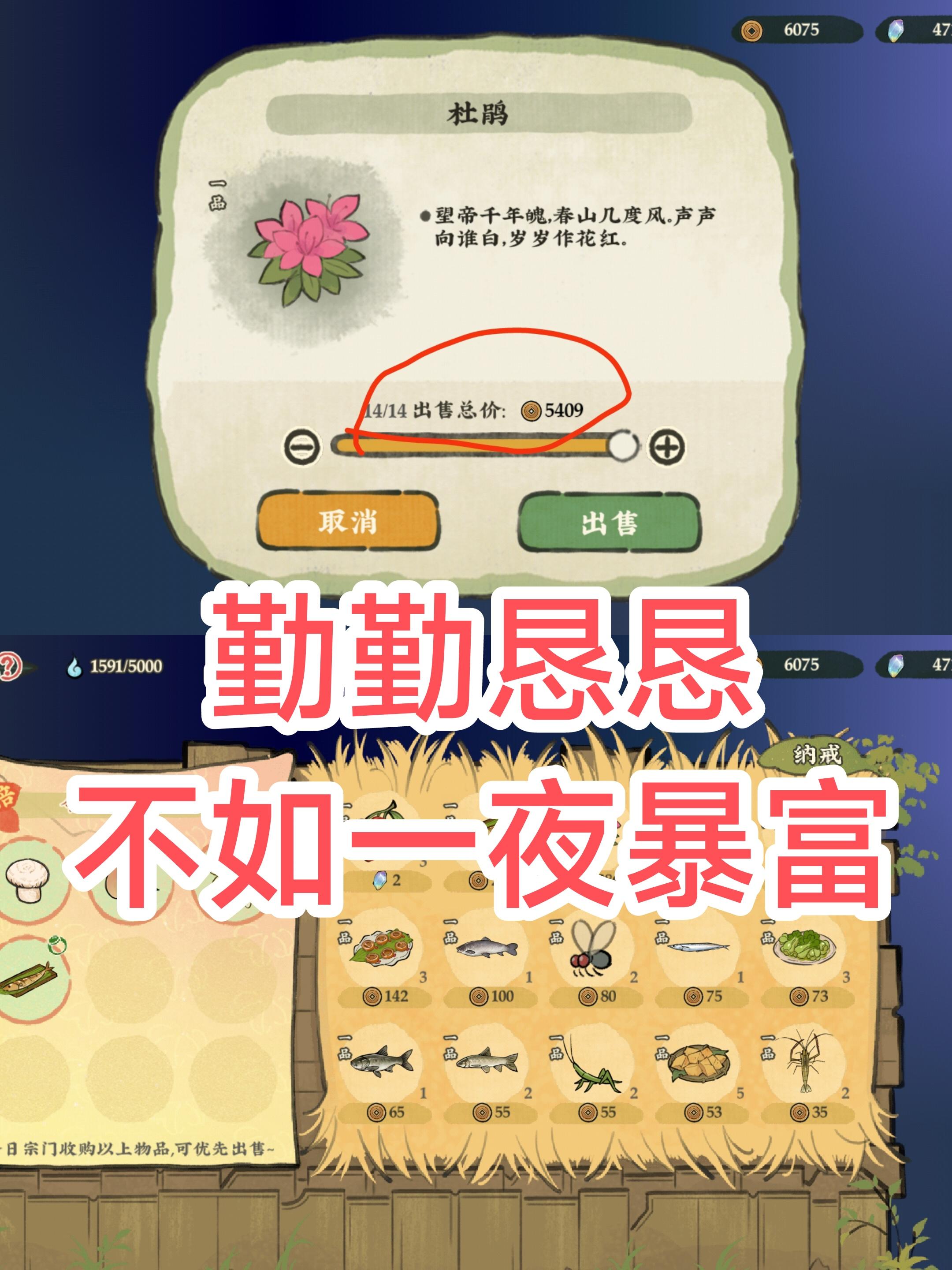 仙山萌新→赚钱攻略🤔（新手一夜暴富）改❗