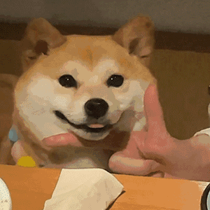 【新区公告】天启-母神庇佑（安卓IOS混服）来袭！