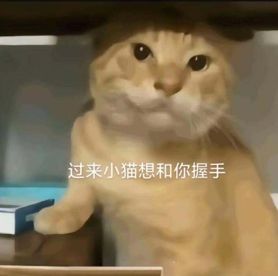 关于差评里好多人说体力不够用的问题