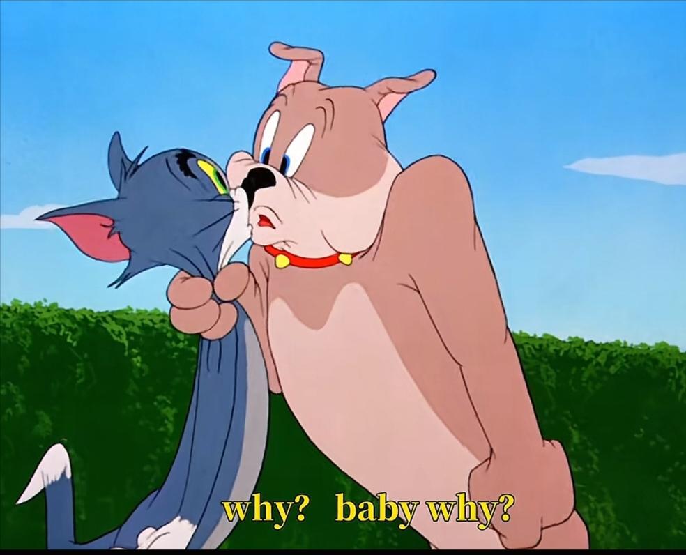 论深夜小Q为何失声痛哭😭（bushi）