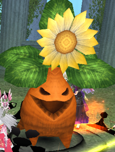 土豆开花了～截图