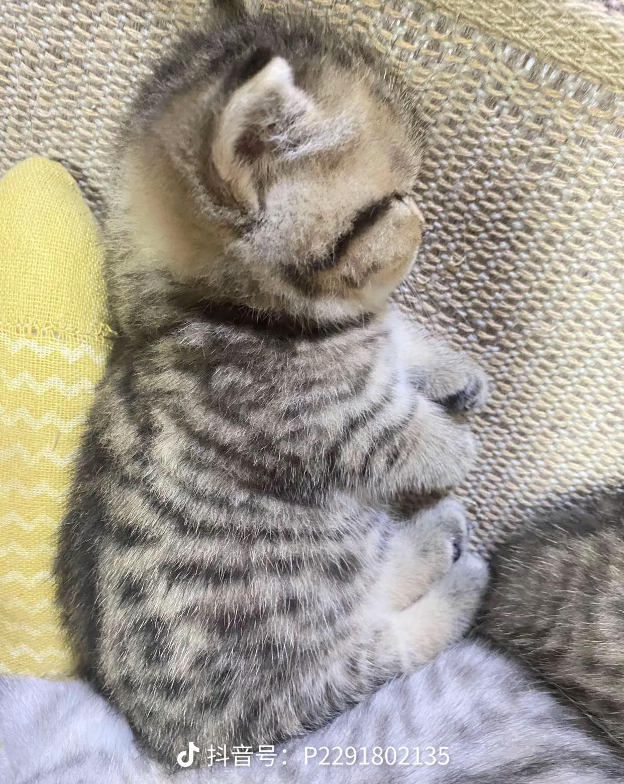 地狱20-40以后就不没给奖励了截图