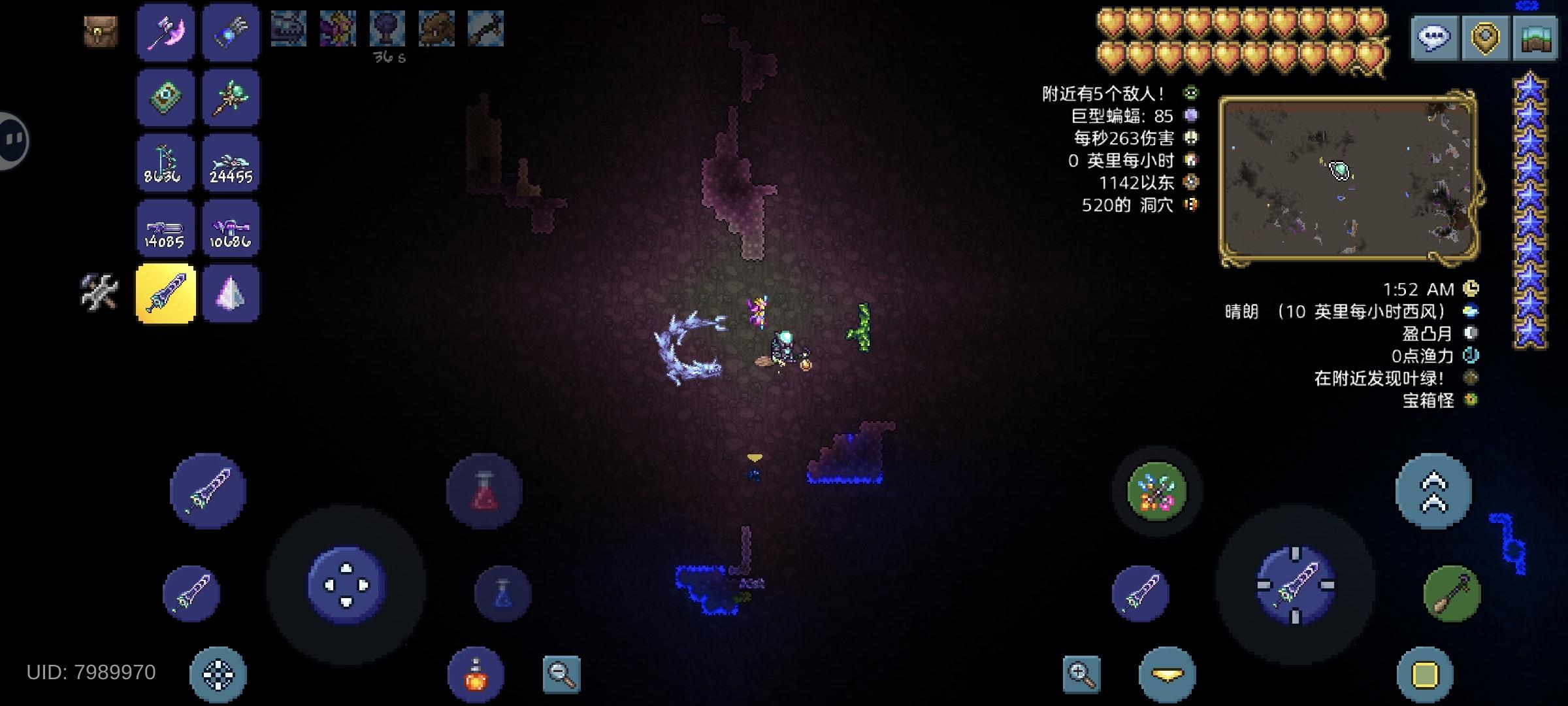 叶绿一定刷在丛林吗？截图