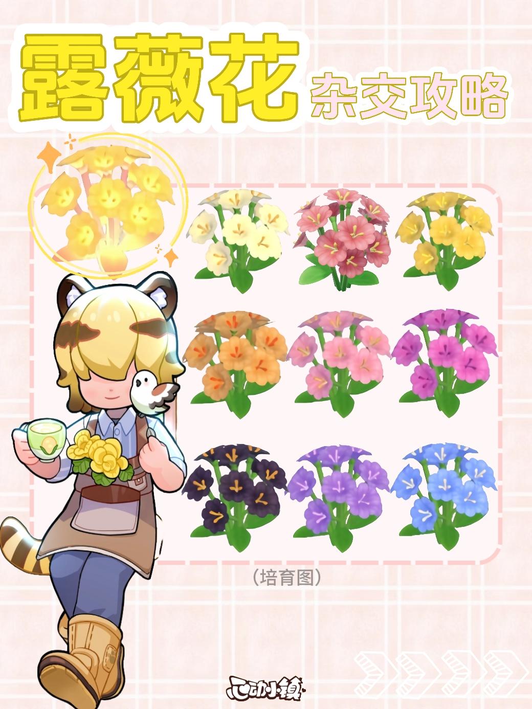 心动小镇露薇花杂交繁育攻略截图