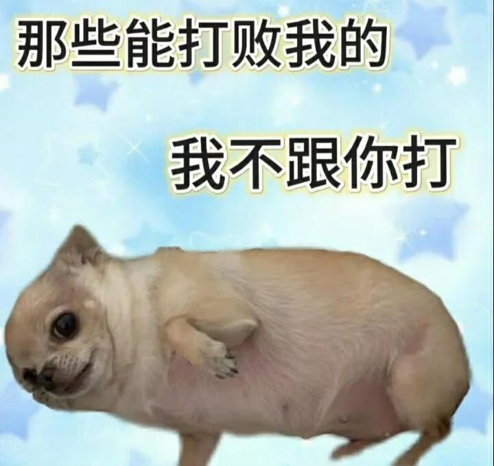 攻略贴（评论统一回复）