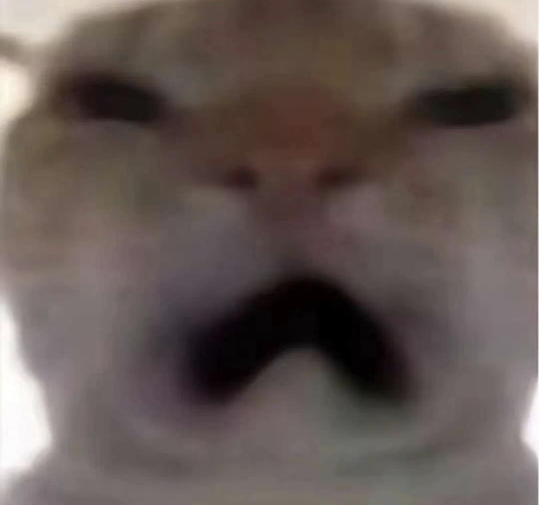 好想找一个能一起愉快玩耍的粥友啊😭