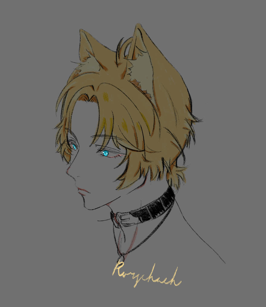 自带choker的小狼是好文明❤️