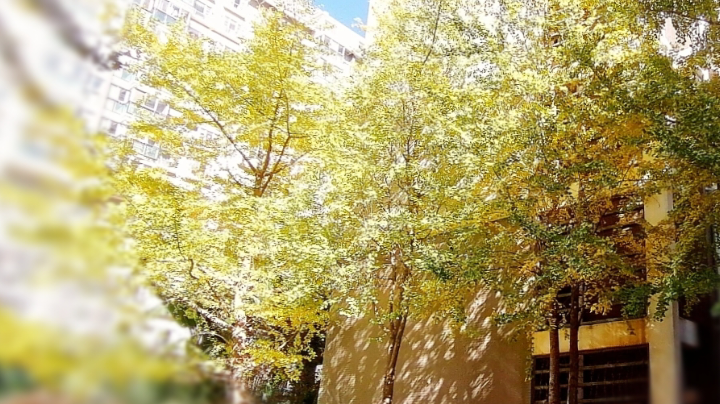 被遗漏的……诗