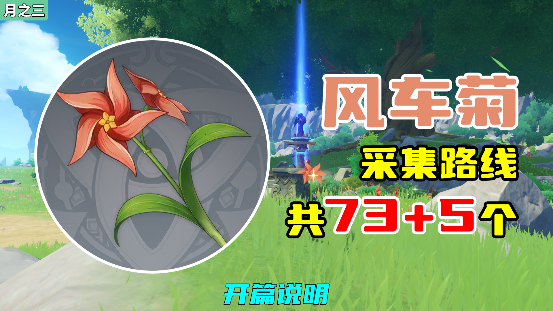 【原神】风车菊采集路线（73+5个），开篇说明