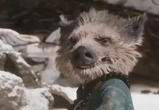 这五个人，大概率会是DLC的主角吧