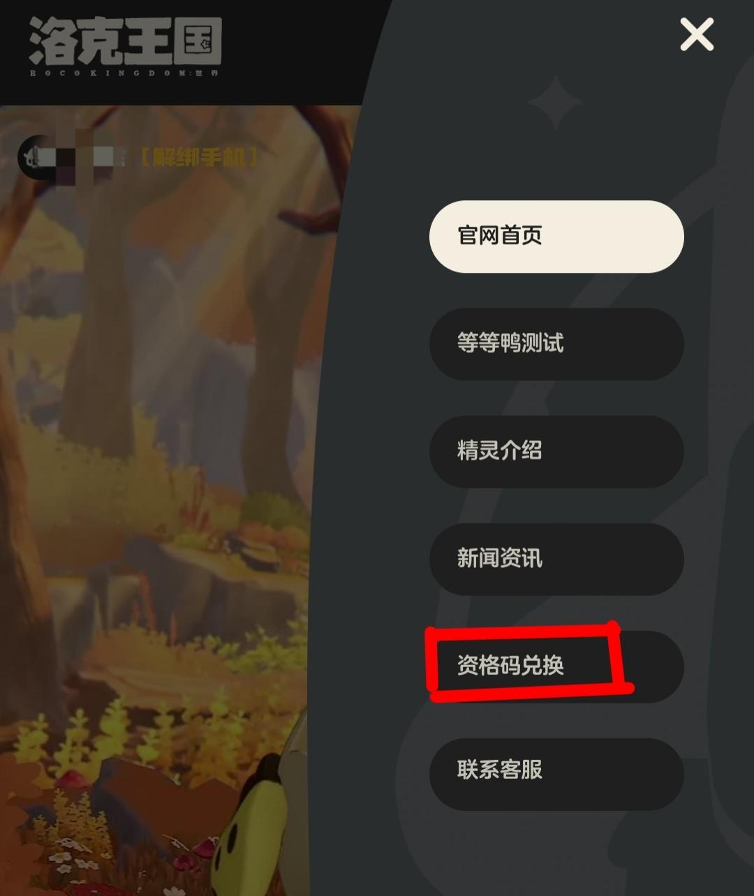 一些被发出来的资格兑换码