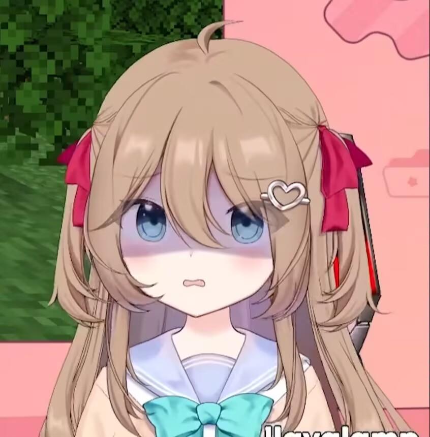 有没有能打502的大佬带带我截图