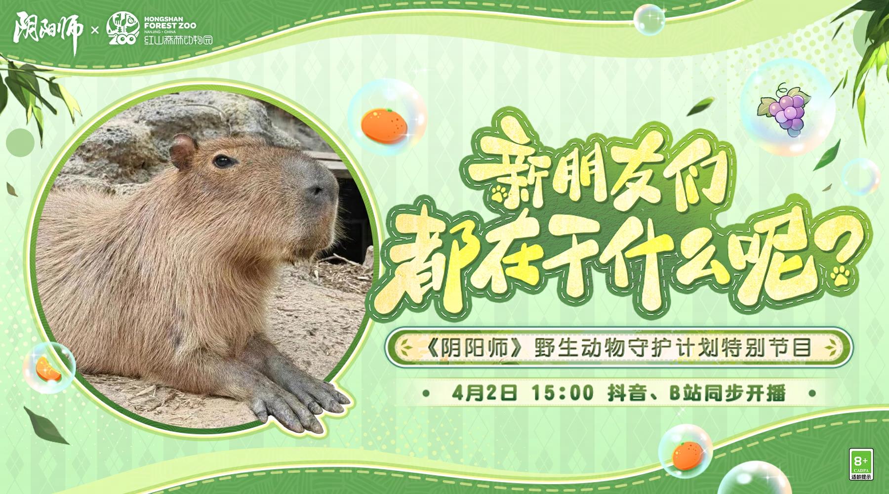 ☆新朋友们带你云游园！☆