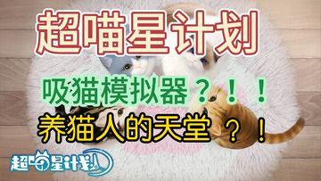 超可爱的撸猫模拟器。在《超喵星计划》中跟着猫猫一起治愈人类❗