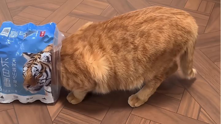 叶尼塞神话皮一些有趣的地方