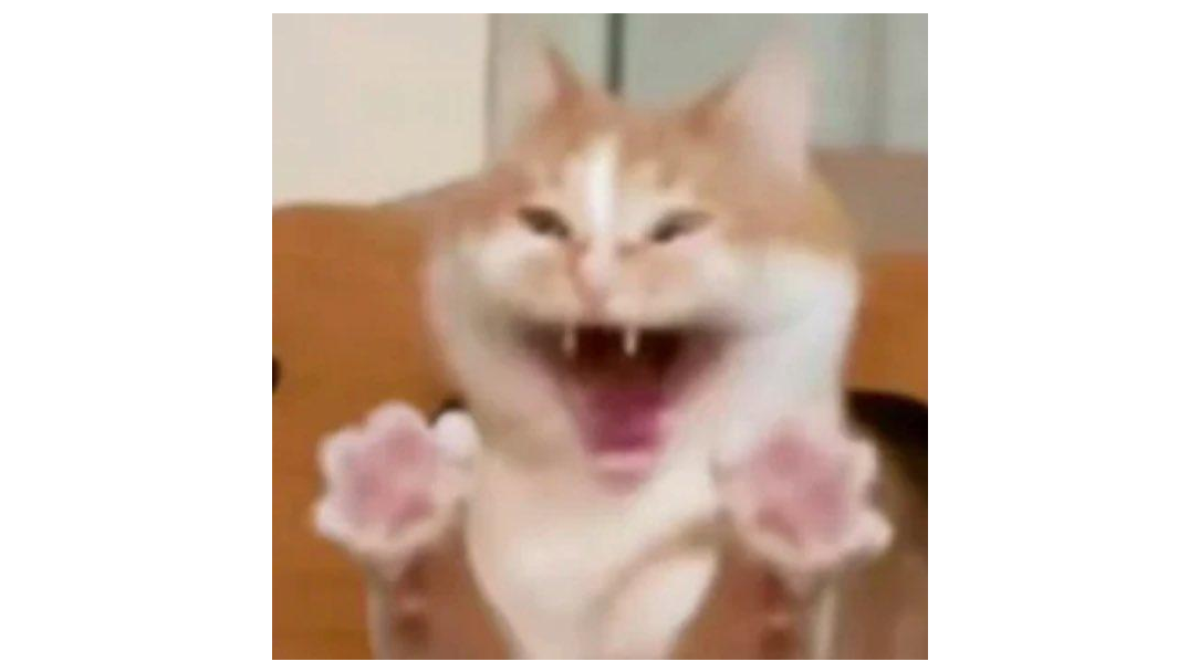 尊妙界第十五位尊者