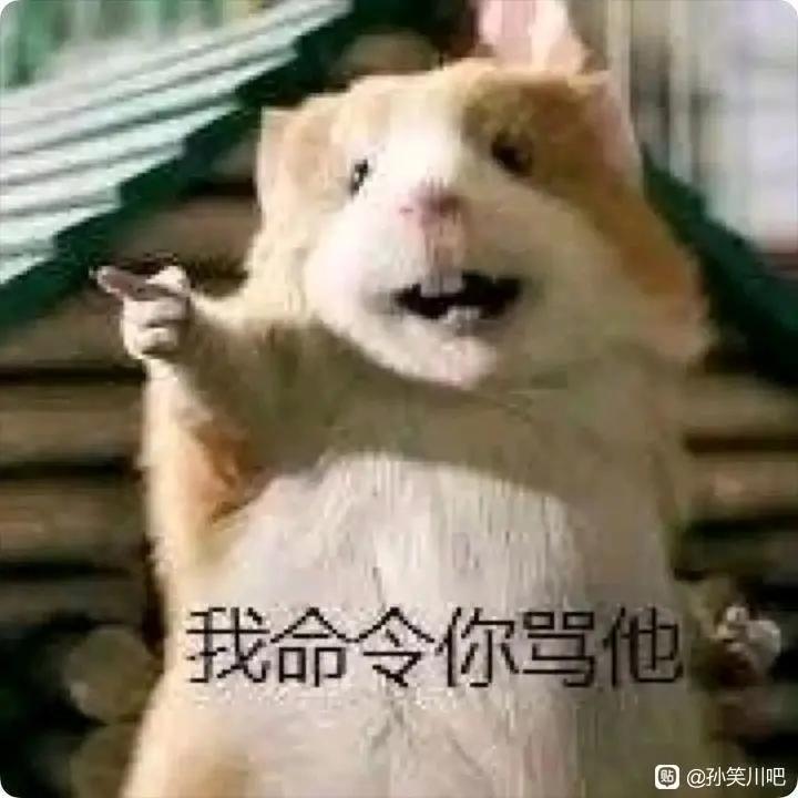 这次到底在测什么