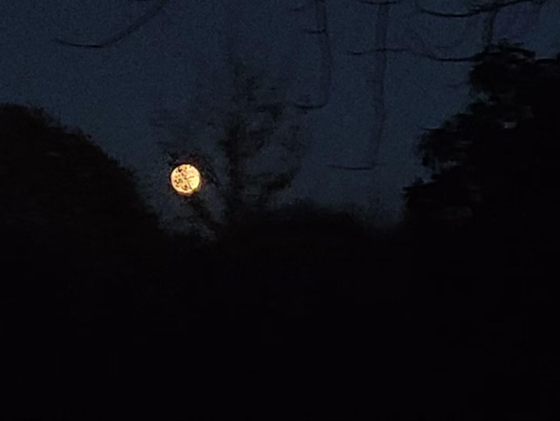 暂时摆烂一会会