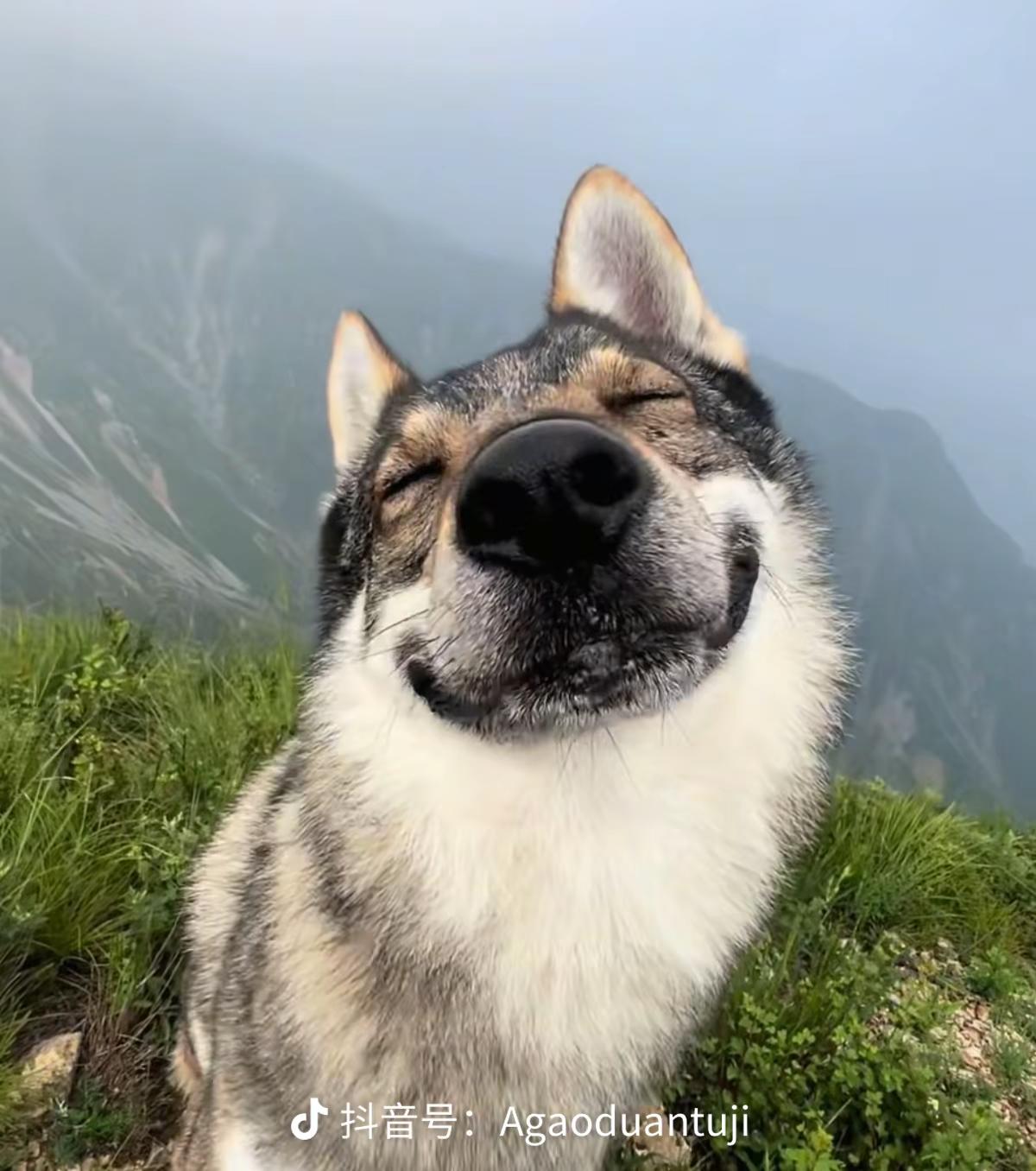 再次征求改名意义不大，众口难调