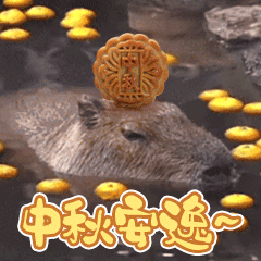 【福利活动｜第十二期】抽中即得128元满减代金券！