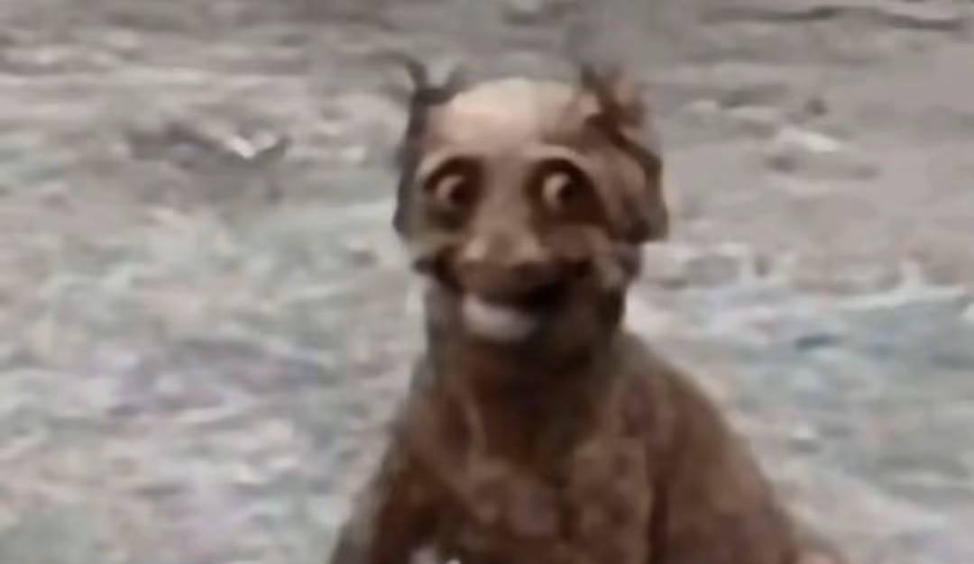 浅评本次矿脉改动，老登为数不多的智慧决策