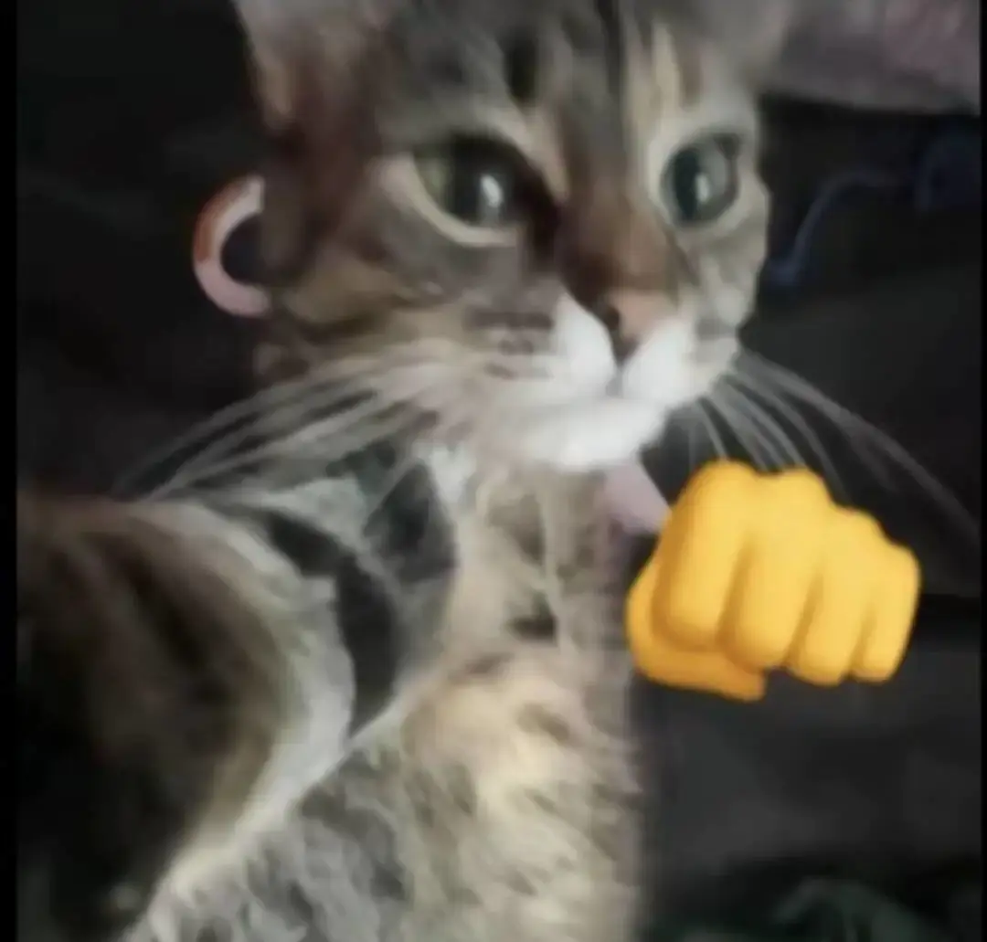 还没有测试资格的点这里获取！