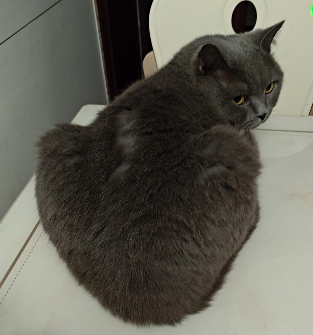 【七夕传情】爱要大声说出来！