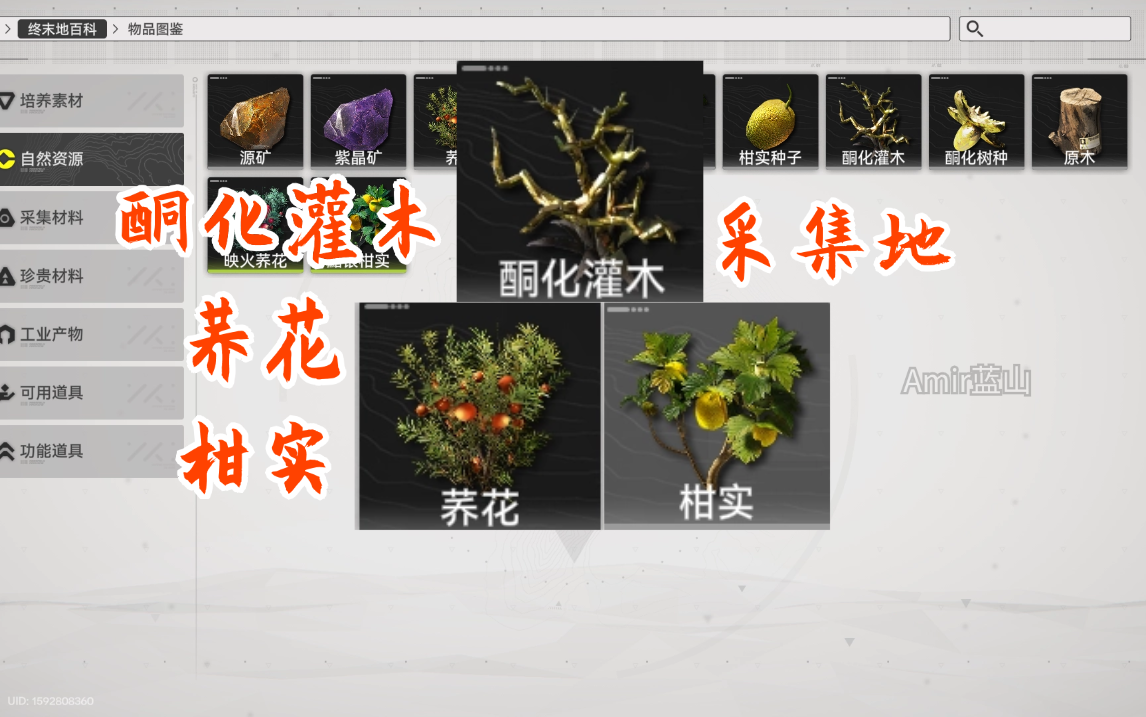 【明日方舟终末地】酮化灌木，荞花，柑实采集地