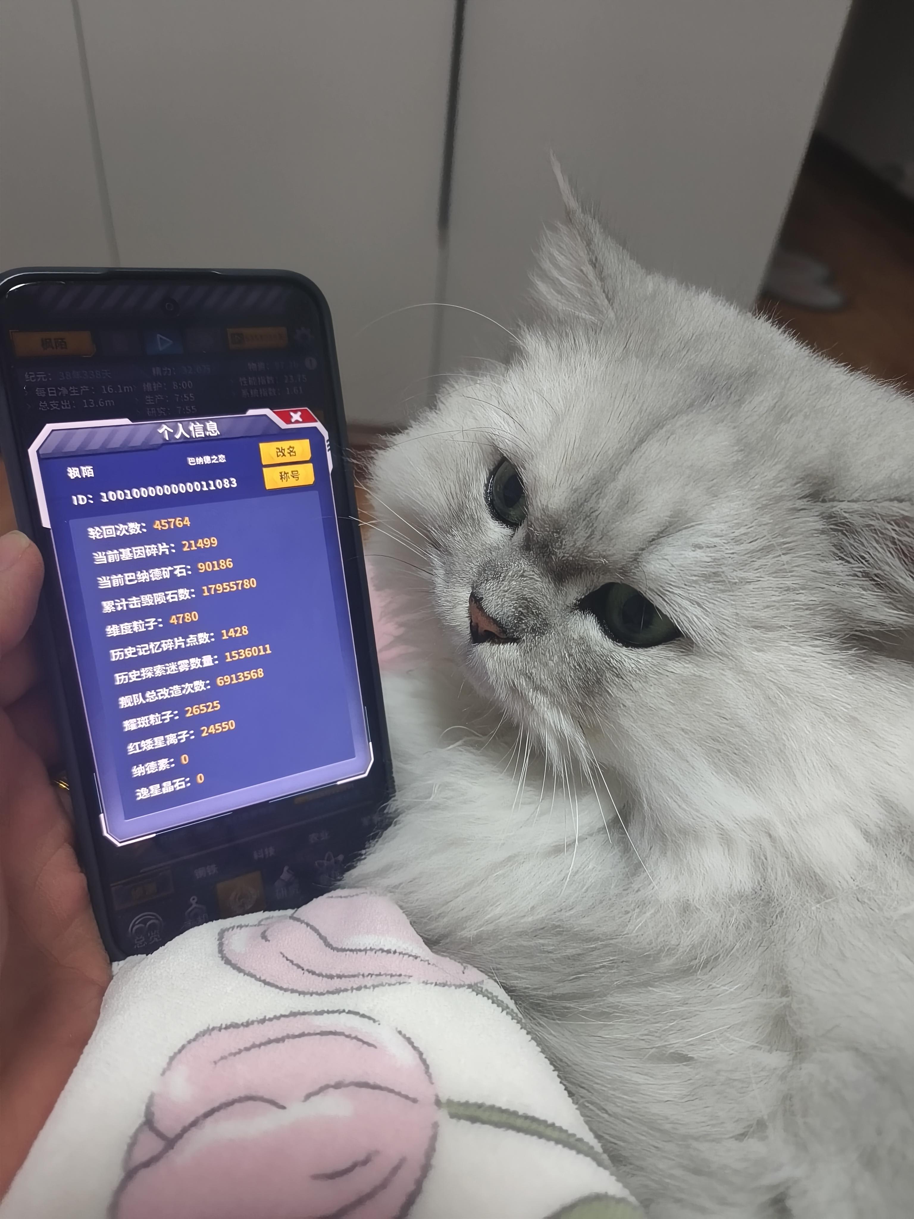 环改行业上线~上线第26周2501114开发碎碎念