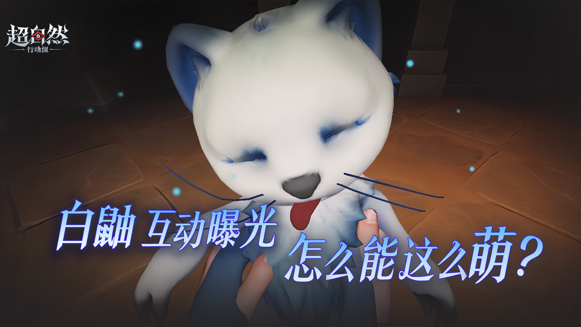 超萌【白鼬】互动动画曝光！