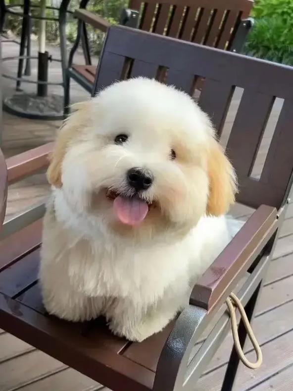 玩了83天了，写个实用的攻略吧。截图