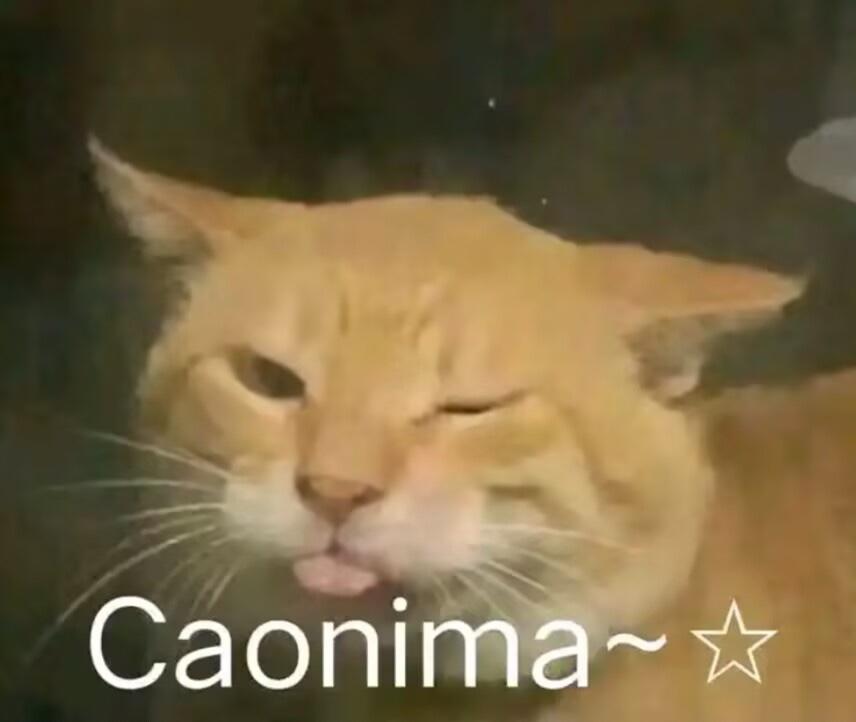 速刷圣诞节箱子方法截图