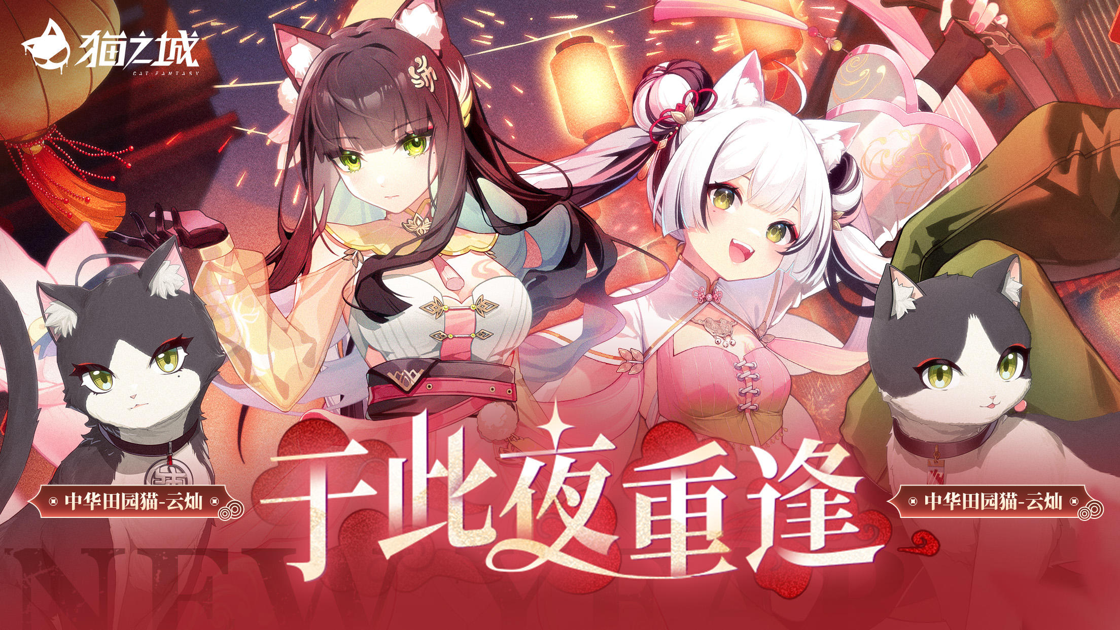 🏮「于此夜重逢」即将开启🏮