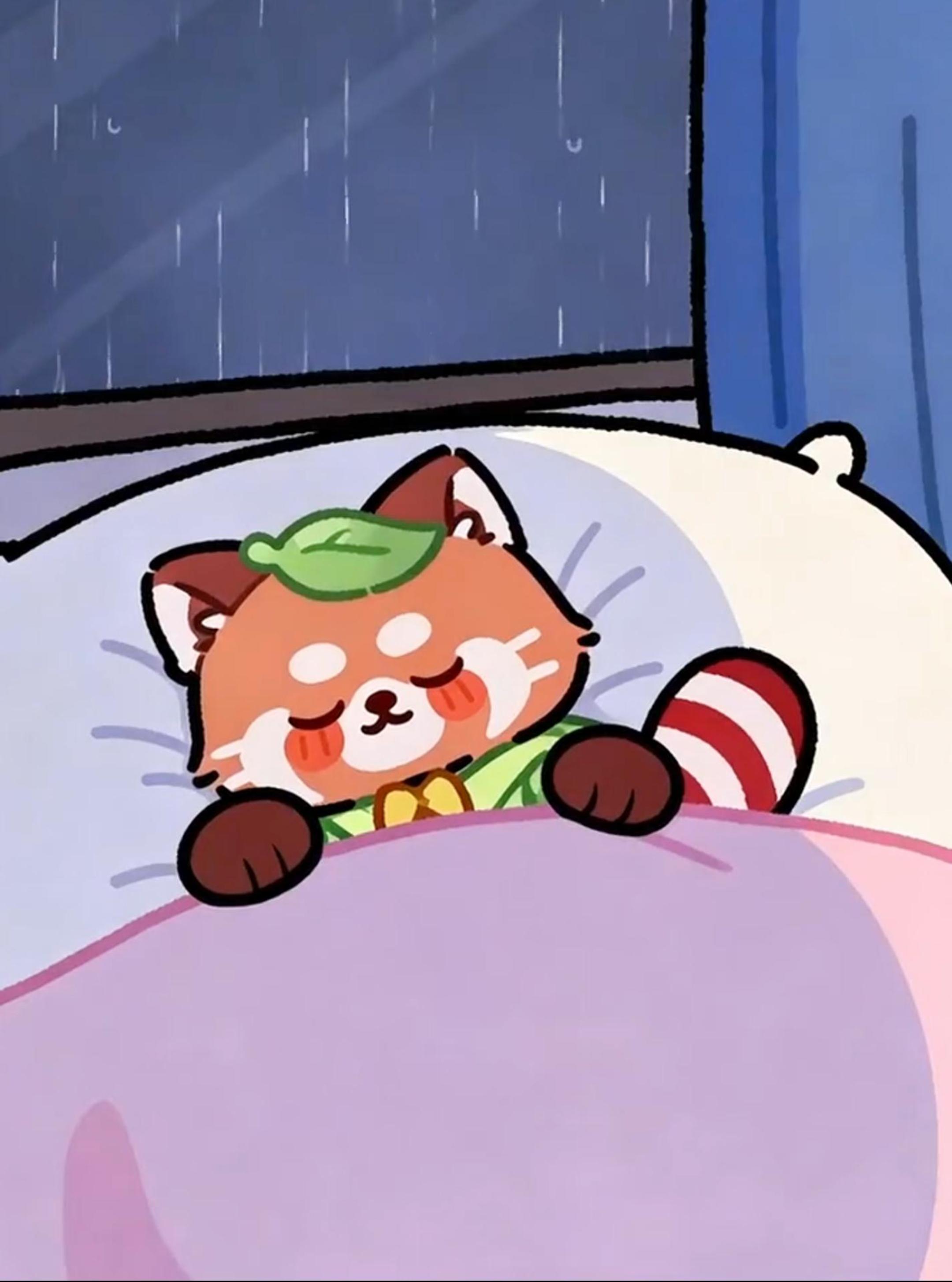 🌧️听，是雨声还是小熊猫的呼吸声