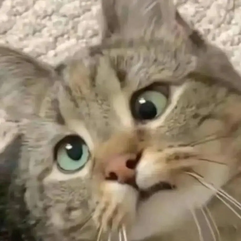 拒绝谢谢参与，从每个人做起