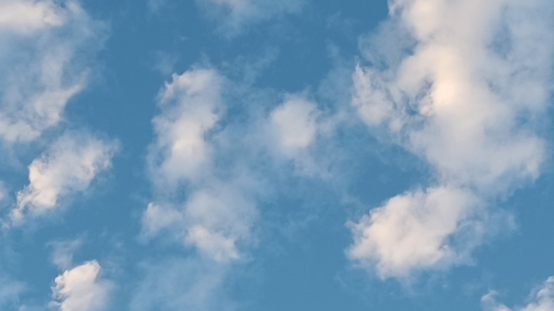 关于新手自选五星