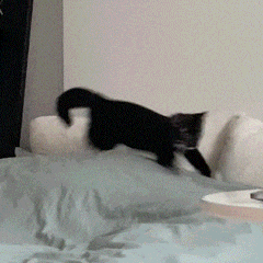 【公告】5月23日停服维护公告